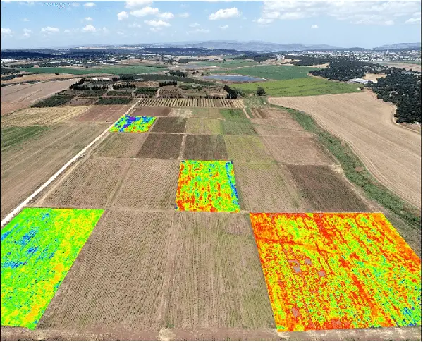 Mapa de vegetação com escala de cores